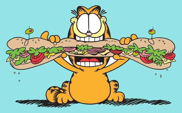 Garfield Comic Strips